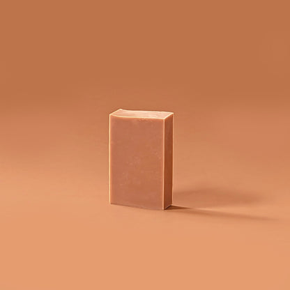 Brick Soap